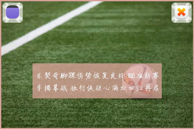 东契奇脚踝伤势恢复良好 瞄准新赛季揭幕战 独行侠核心满血回归再启航